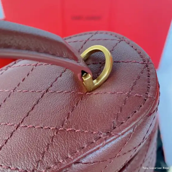 Tony Luxuries bag YSL Gaby vanity lambskin in 0613
